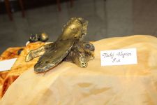 IMG 8868