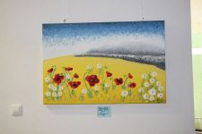 IMG 8875