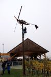 IMG 0236