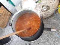 lokavski-pisker-2018-8