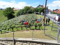IMG 20200525 143209