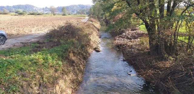 5890 1675676832 l 725857 1