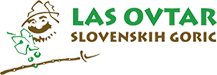 logo lasovtar