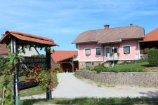 Senekovic 3