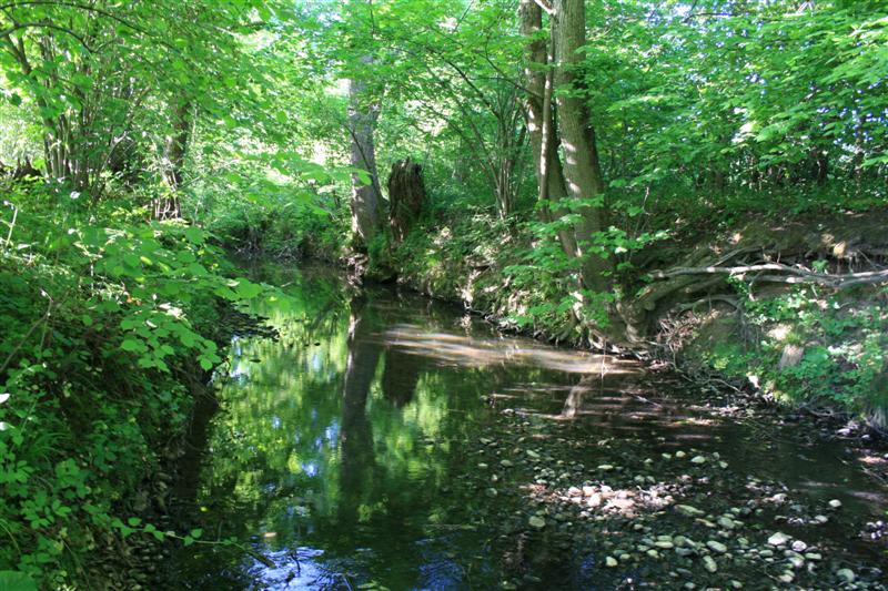 Portal Občine Sveta Ana - Naravne znamenitosti