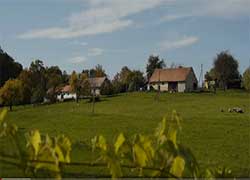 prifridi