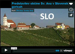 vimeo-slo250