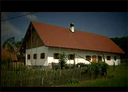 Razglednica